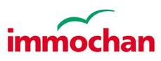 Immochan-wexperience-optimisation-de-site