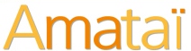 Amatai.fr-wexperience-optimisation-de-site